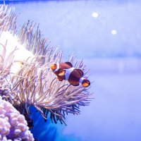 :) :: Анастасия Фотографовна