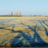 ТЕНИ... :: Elvira E. 