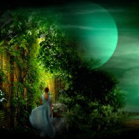 Вечерняя   прогулка :: Е.М. ***