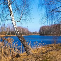 Весна на Смоленщине. :: Милешкин Владимир Алексеевич 