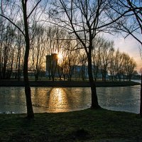 парк городе. :: Андрей Сосновский парк городе. :: Андрей Сосновский
