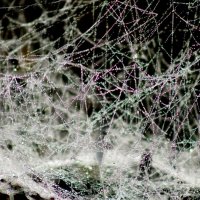 природные узоры 3 :: Александр Прокудин