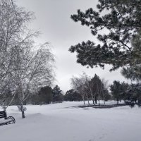 Зимний парк :: Андрей Хлопонин