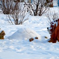 В Сибири на   солнышке не полежишь.... :: nadyasilyuk Вознюк