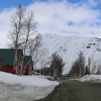 Прогулки в ботаническом саду :: Ольга 