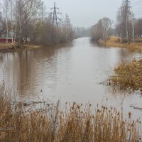 Пасмурный мартовский день :: Александр Синдерёв