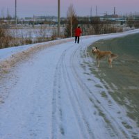 Вечерняя прогулка... :: Нэля Лысенко