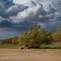 * :: Александр Лисовский