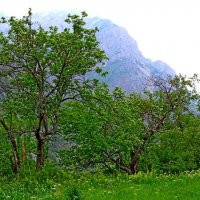 ЛЮБИМАЯ И БЛИЗКАЯ РЕЧКА :: Виктор Осипчук