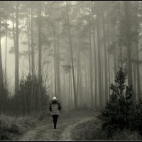 *** :: Aleksandr Gal