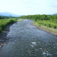 Река Киевка, Приморский край. :: unix (Илья Утропов) Река Киевка, Приморский край. :: unix (Илья Утропов)