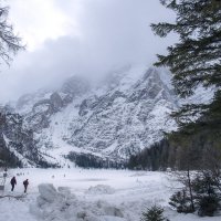 ** :: Александр Липовецкий