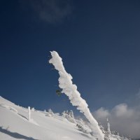 * :: Александр Иванов