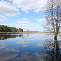 Весна, разлив, озеро Маленец :: Олег Зоркий