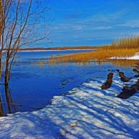 Апрель...Уголок Юганской Оби. :: Владимир 