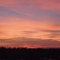 розовый закат :: Елена Шаламова