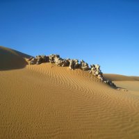 В пустыне Рамлат-эль-Вахиба. :: unix (Илья Утропов)