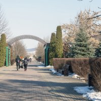 Магас. Аллея Ахмата Кадырова :: Gen 