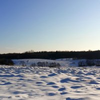 лес за рекой Полонкой :: Артем 