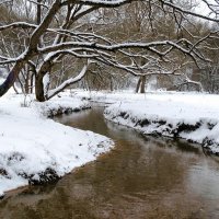 Городской парк после ночного снегопада. :: Милешкин Владимир Алексеевич 