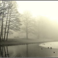 *** :: Aleksandr Gal