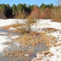 Промоины у берега :: Андрей Снегерёв