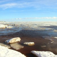 Зеленогорск. Март :: Наталья Герасимова