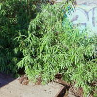 Название отсутствует :: Денис Безногов