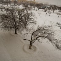 За окном :: Анатолий Чикчирный За окном :: Анатолий Чикчирный