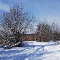 Зимушка-зима :: Рита Симонова Зимушка-зима :: Рита Симонова