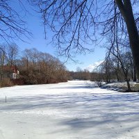 Солнечный мартовский денёк :: Мария Васильева