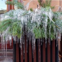 Оттепель :: Игорь Корф