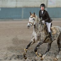 В манеже :: SanSan 