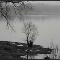 *** :: Aleksandr Gal