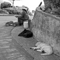 В ожидании туристов.(Тайланд). :: Борис Бутцев