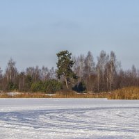 В феврале на карьере :: Сергей Цветков