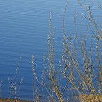 весна :: ИННА ПОРОХОВА весна :: ИННА ПОРОХОВА