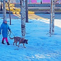 Март...Утро хозяйки и пса! :: Владимир 