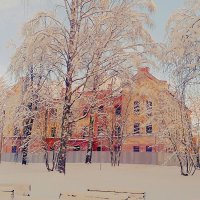 В зимнем парке :: Сергей Кочнев