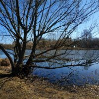 Хорошо, что я снова на велосипеде! :: Андрей Лукьянов Хорошо, что я снова на велосипеде! :: Андрей Лукьянов