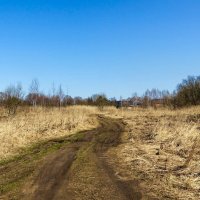 Деревенская дорога (репортаж из поездок по области) :: Милешкин Владимир Алексеевич 