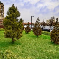 Актау :: Анатолий Чикчирный