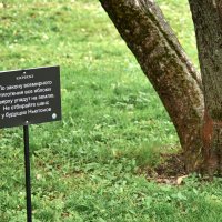 Опасайтесь передозировки!! :: Валерий Пославский