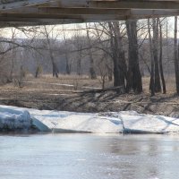 За городом. :: Венера Чуйкова