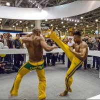 Бразильская борьба КАПОЭЙРА :: Наталья Rosenwasser