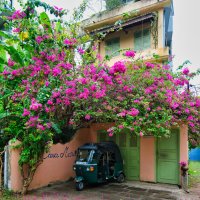 Спрятался :: Dmitry i Mary S