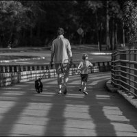 Мост :: **** vedin