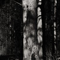 Название отсутствует :: Денис Безногов