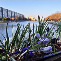 Весна в городе. :: Валерия Комова Весна в городе. :: Валерия Комова