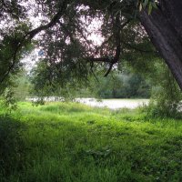 Монастырский пруд :: Александр Ильчевский 